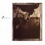 Surfer Rosa cover