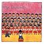 The Raincoats CD